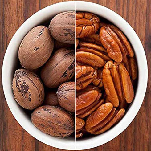 Healthy Master Premium Pecan Nuts | Without Shell